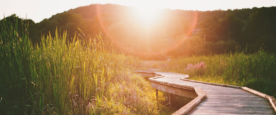 Управление Реальностью - М. Пелехатый, Ю. Чекчурин_0.jpg